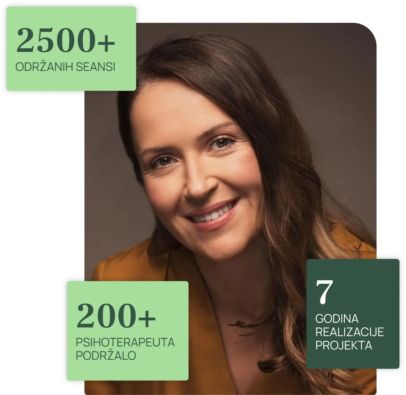 Ana o projektu brojke